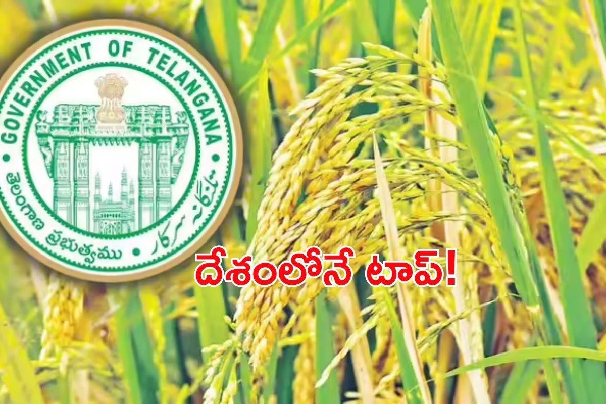Telangana Paddy: తెలంగాణ వ్యవసాయంలో నయా రికార్డు: పంజాబ్‌ను దాటేసింది!
